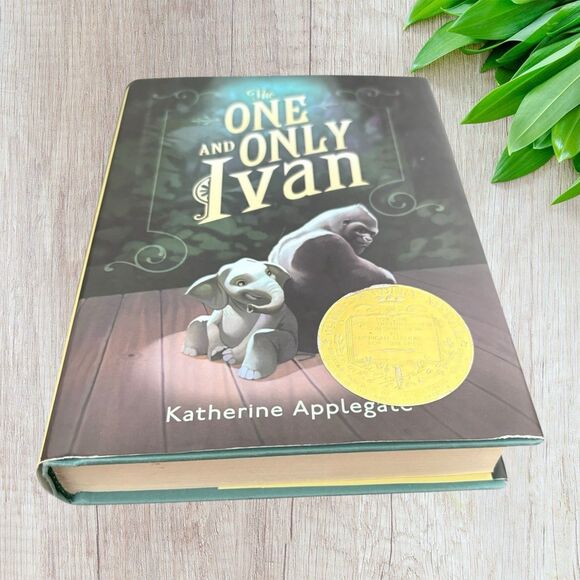 Book Collection - Multicolor - Picture 9 of 13